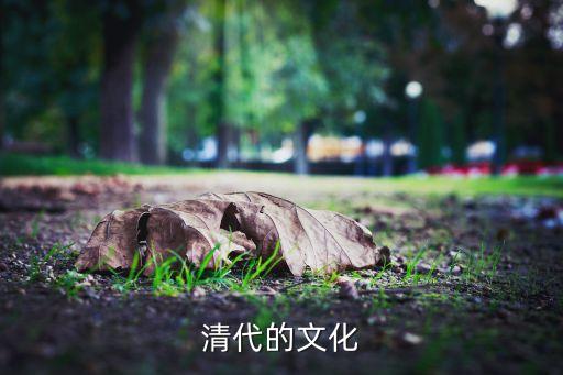 清朝时期的艺术和文化，清代的文化