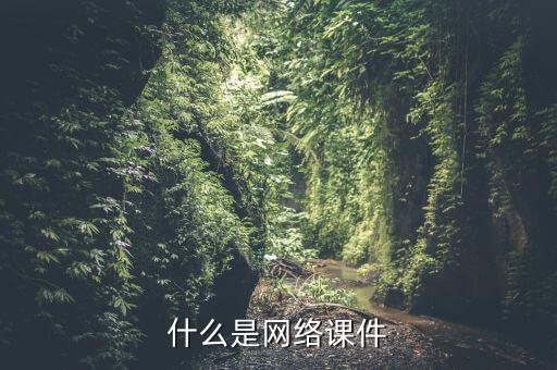 什么是网络课件