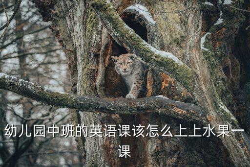 幼儿园中班的英语课该怎么上上水果一课