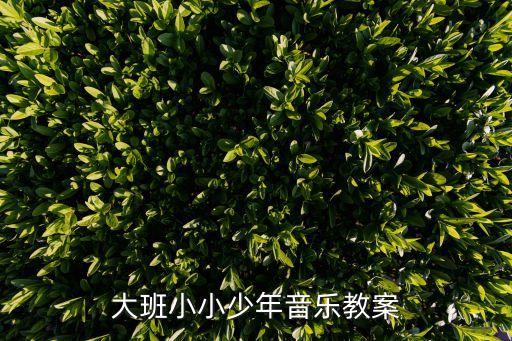 大班小小少年音乐教案