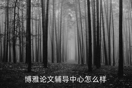 博雅论文辅导中心怎么样