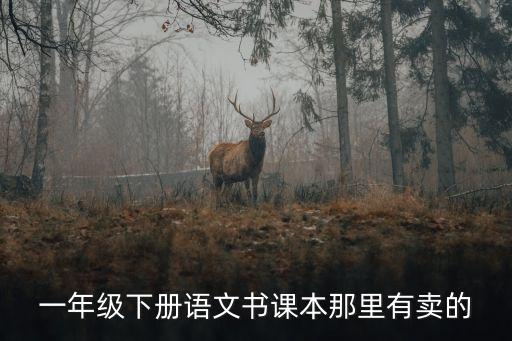 一年级下册语文书课本那里有卖的
