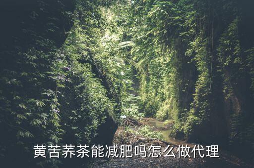 微信免费听课是干嘛的，黄苦荞茶能减肥吗怎么做代理