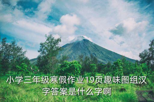 小学三年级寒假作业19页趣味图组汉字答案是什么字啊