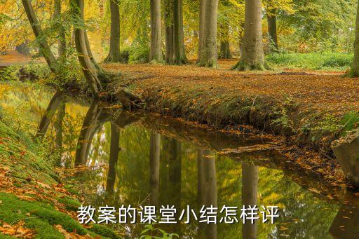 教案的课堂小结怎样评