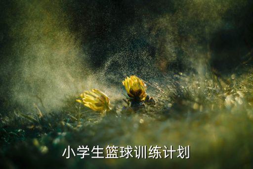 小学生篮球训练计划