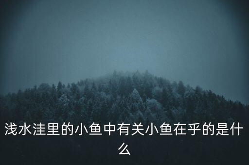 浅水洼里的小鱼教案，中有关小鱼在乎的是什么