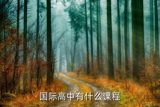 国际高中有什么课程