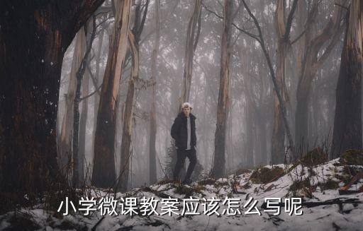 英语微课教案模板范文，小学微课教案应该怎么写呢