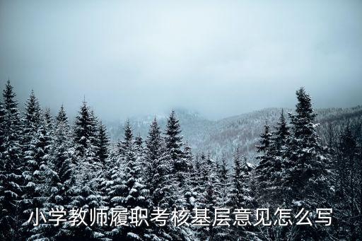 小学教师年度考核表评语，教师年度考核表中单位意见怎么写