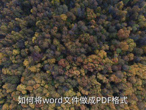 如何将word文件做成PDF格式