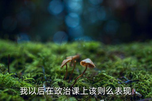 我以后在政治课上该则么表现