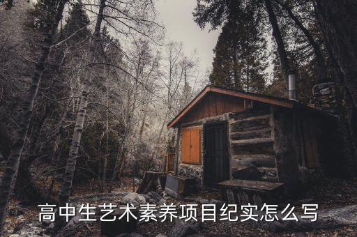 高中生艺术素养项目纪实怎么写