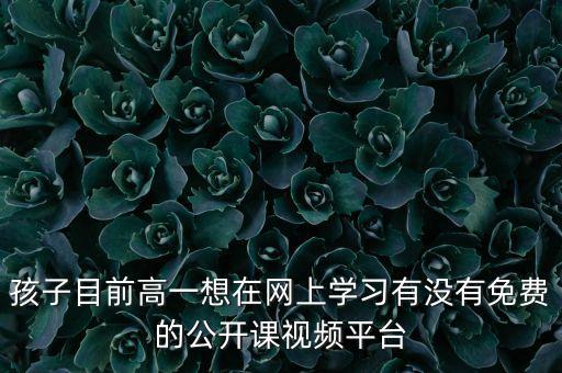 孩子目前高一想在网上学习有没有免费的公开课视频平台
