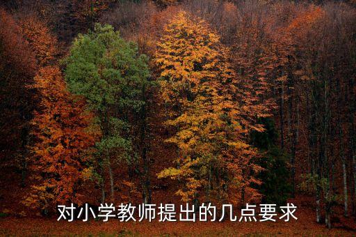 对小学教师提出的几点要求