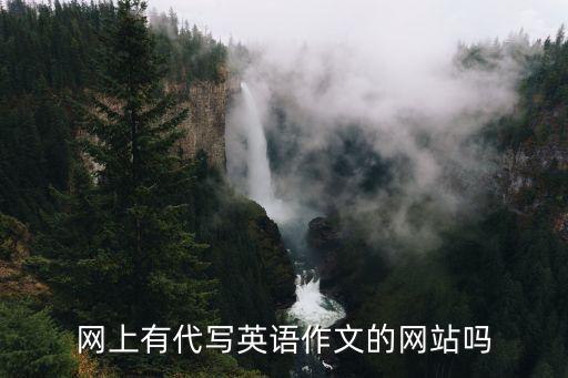 网上有代写英语作文的网站吗