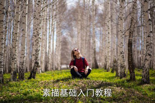 素描基础入门教程