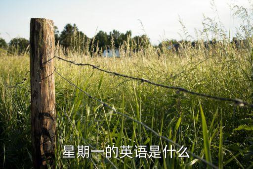 星期一口语，星期一的英语是什么