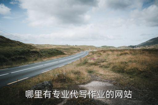 哪里有专业代写作业的网站