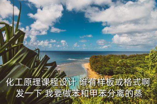 化工原理课程设计 谁有样板或格式啊 发一下 我要做苯和甲苯分离的蒸