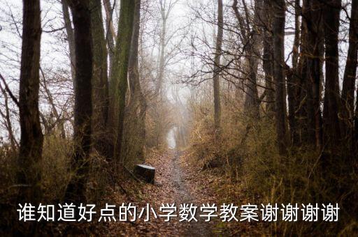 谁知道好点的小学数学教案谢谢谢谢