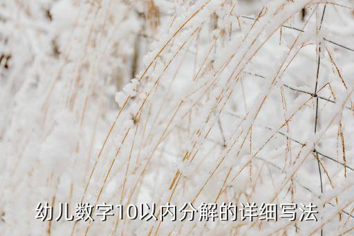 10以内的分解，幼儿大班数学 十以内的分解怎样教