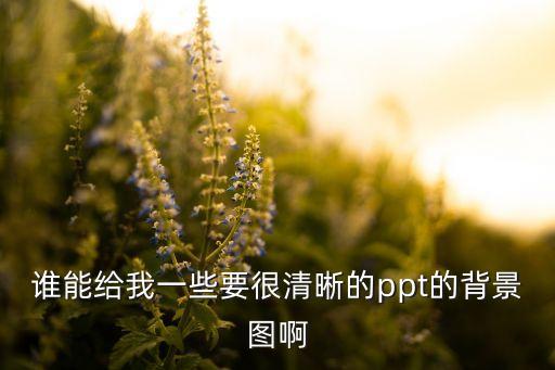 谁能给我一些要很清晰的ppt的背景图啊