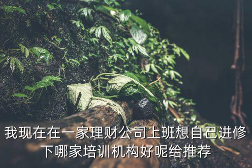 我现在在一家理财公司上班想自己进修下哪家培训机构好呢给推荐