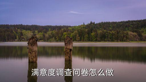 满意度调查问卷怎么做