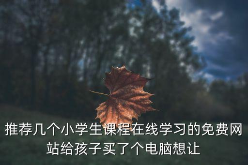 推荐几个小学生课程在线学习的免费网站给孩子买了个电脑想让