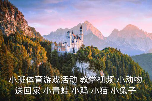 小班体育游戏活动 教学视频 小动物送回家 小青蛙 小鸡 小猫 小兔子