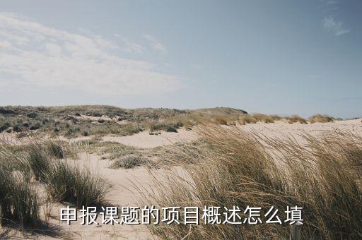 申报课题的项目概述怎么填