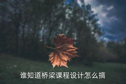湘潭大学桥梁工程课程设计，谁知道桥梁课程设计怎么搞
