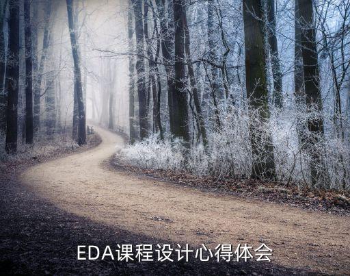 EDA课程设计心得体会