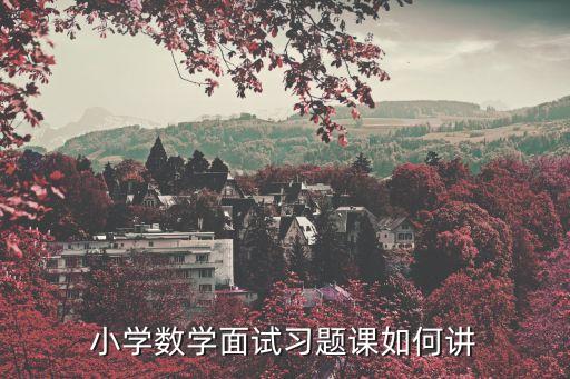 小学数学面试习题课如何讲