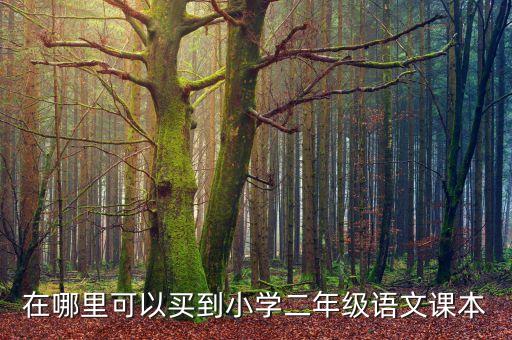 在哪里可以买到小学二年级语文课本