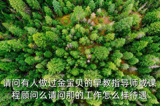 请问有人做过金宝贝的早教指导师或课程顾问么请问那的工作怎么样待遇