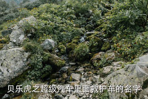 贝乐虎之超级汽车里面救护车的名字