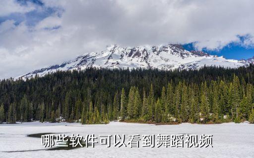 哪些软件可以看到舞蹈视频