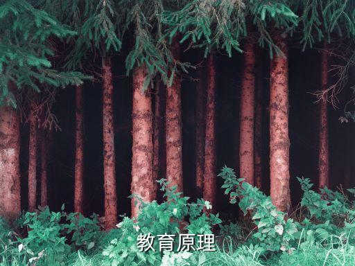 教育原理