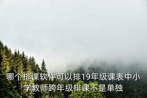 哪个排课软件可以排19年级课表中小学教师跨年级排课不是单独