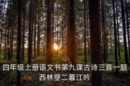 四年级语文书古诗三首，四年级下册第一课古诗三首里有哪些好词好句