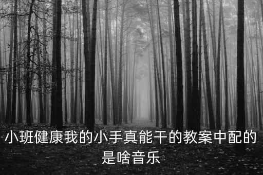 我的小小手教案，蒙氏语言我的小手乖乖怎样备课