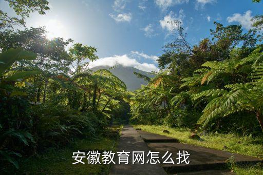 安徽教育网怎么找