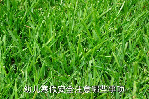 幼儿寒假安全注意哪些事项