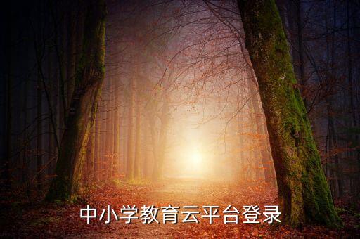 全国中小学网课云平台，全国中小学教师远程培训网 怎样进入
