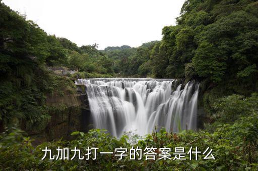 九加九打一字的答案是什么