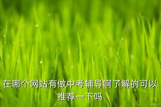 在哪个网站有做中考辅导啊了解的可以推荐一下吗