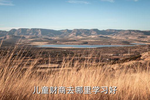 中国最牛的儿童财商培训，少儿财商去哪里学习好