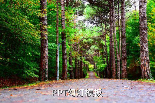 ppt模板课堂，PPT幻灯模板